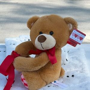 Aerial Bouquets Valentine Teddy Bear Plush Red Ribbon Heart Feet Stuffed